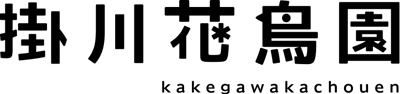 アフリカオオコノハズク
