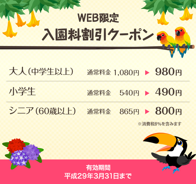 WEB限定 入園料割引クーポン