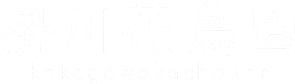 掛川花鳥園ロゴ