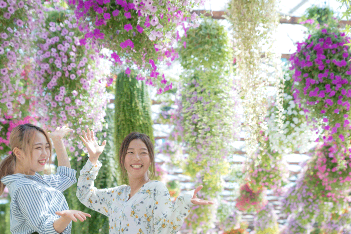 掛川花鳥園の花ばな