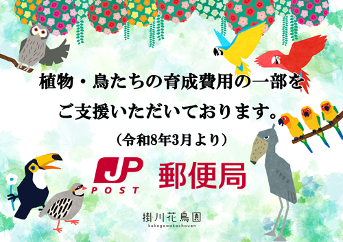 フッターバナー