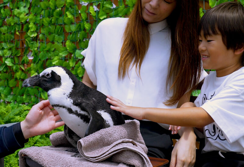 花と鳥 掛川花鳥園]花と鳥とのふれあいが楽しめるテーマパーク