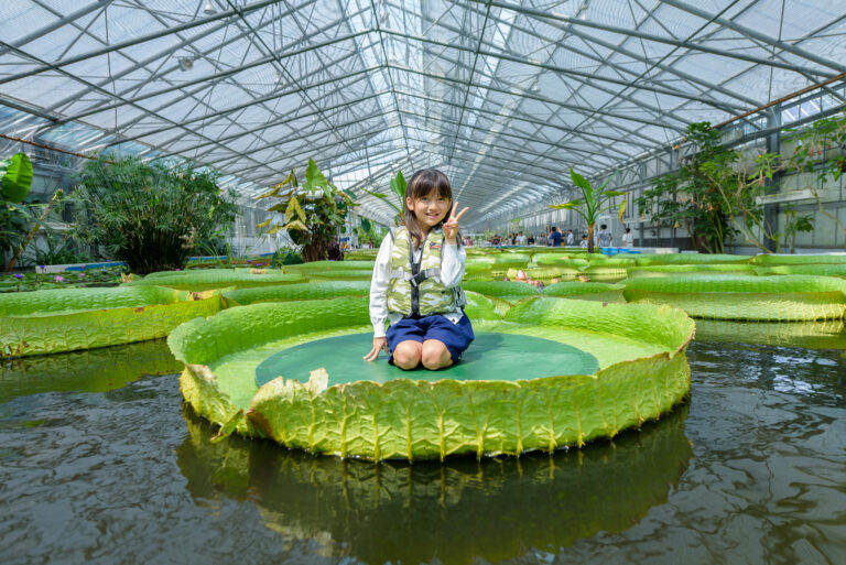 イベント「オオオニバスにのってみよう」開催のお知らせ