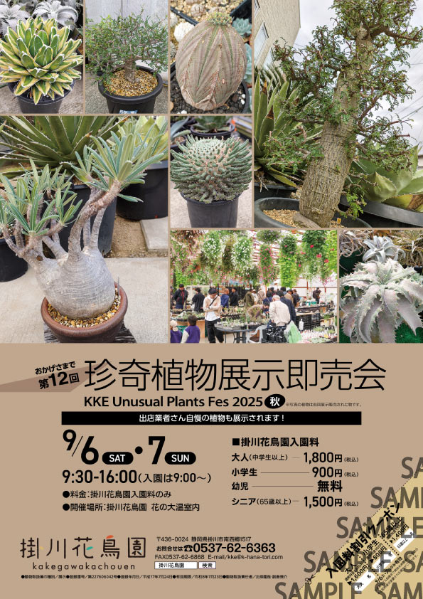 第12回 珍奇植物展示即売会　KKE Unusual Plants Fes2025秋 　開催のお知らせ