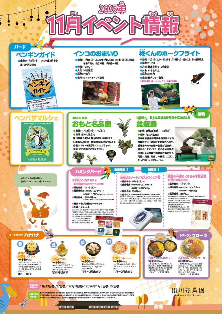 11月イベント情報