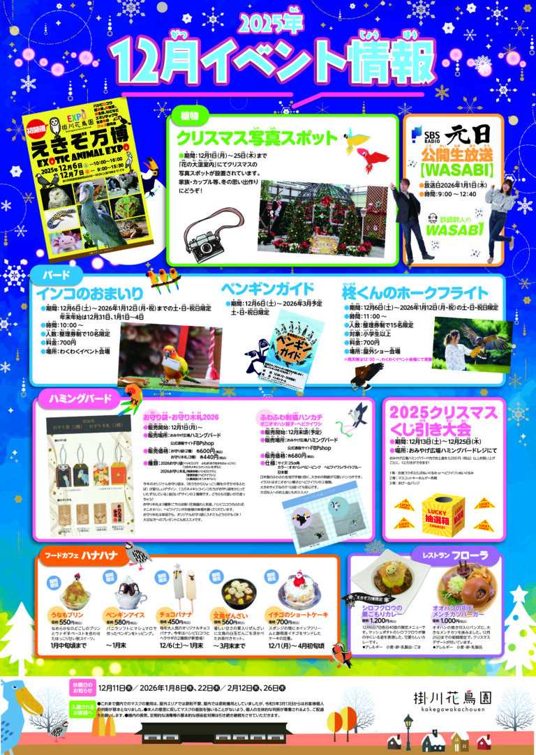 12月イベント情報