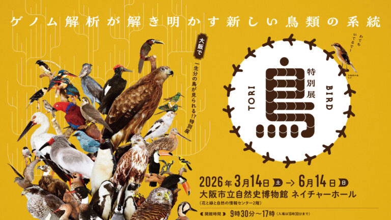 鳥好き集合！特別展「鳥」が大阪開催