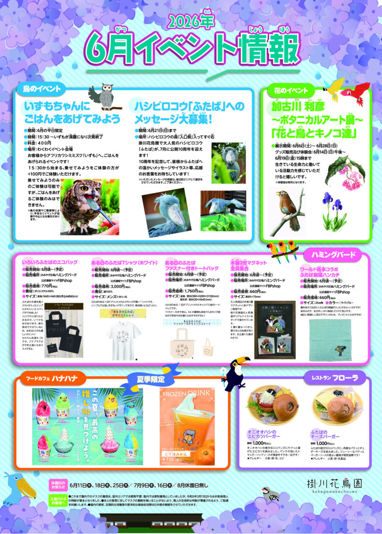 6月イベント情報