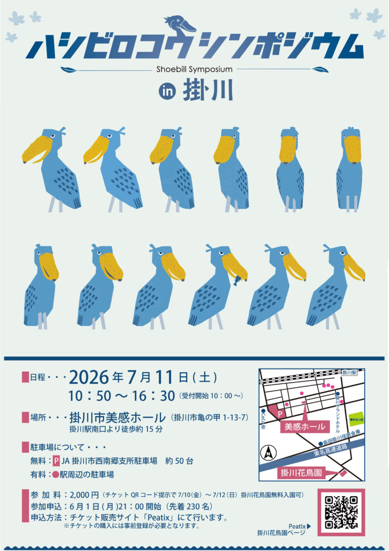 ハシビロコウシンポジウムin掛川　開催のお知らせ