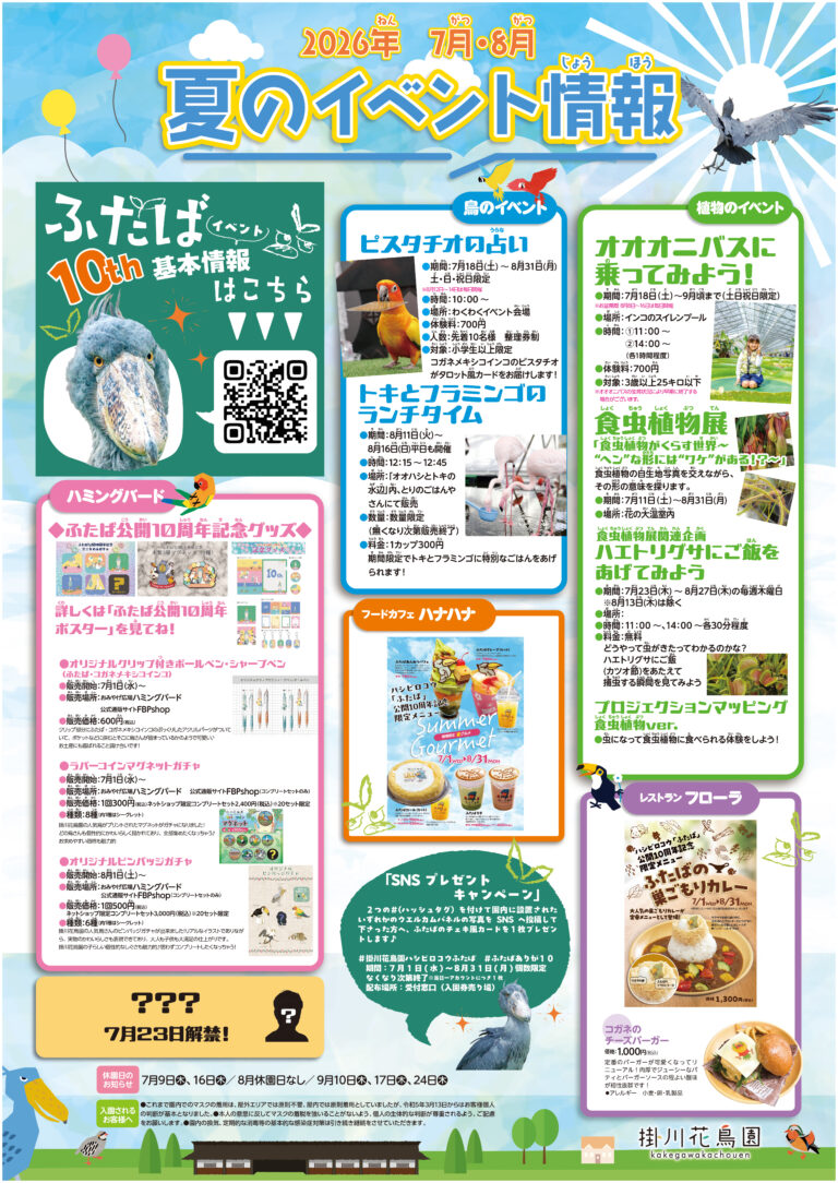 7月・8月 夏のイベント情報