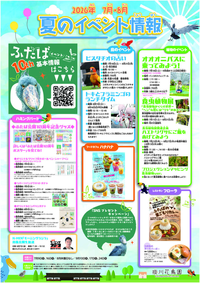 7月・8月 夏のイベント情報