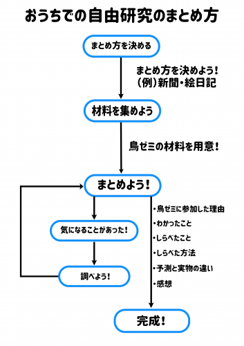 自由研究のまとめ方 (1)