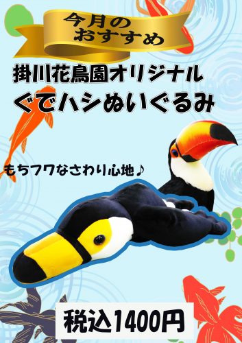 今月のおすすめ8月号