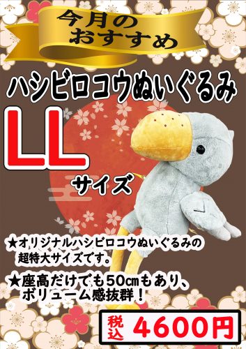 今月のおすすめ