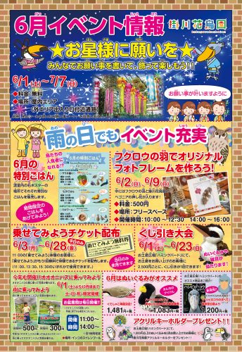 6月POP2222