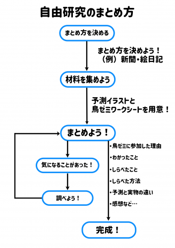 自由研究のまとめ方