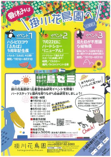 img-621092244-0001