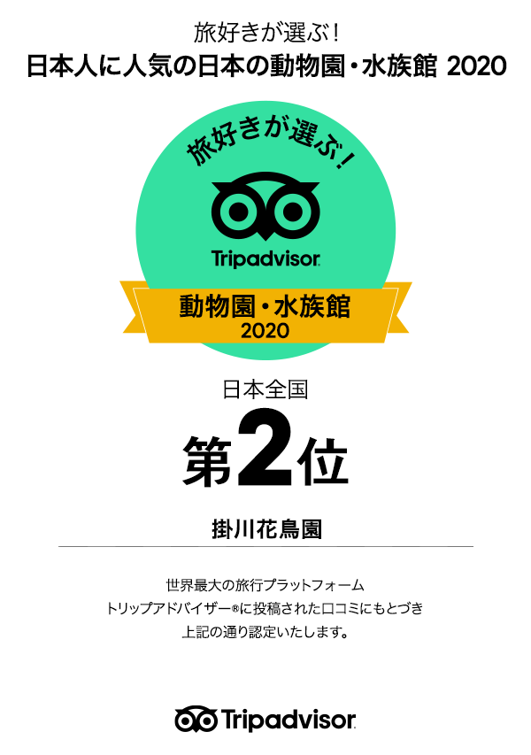 トリップアドバイザー 旅好きが選ぶ 日本人に人気の動物園 水族館ランキング トップランクインのご報告 掛川花鳥園 花と鳥とのふれあいが楽しめるテーマパーク