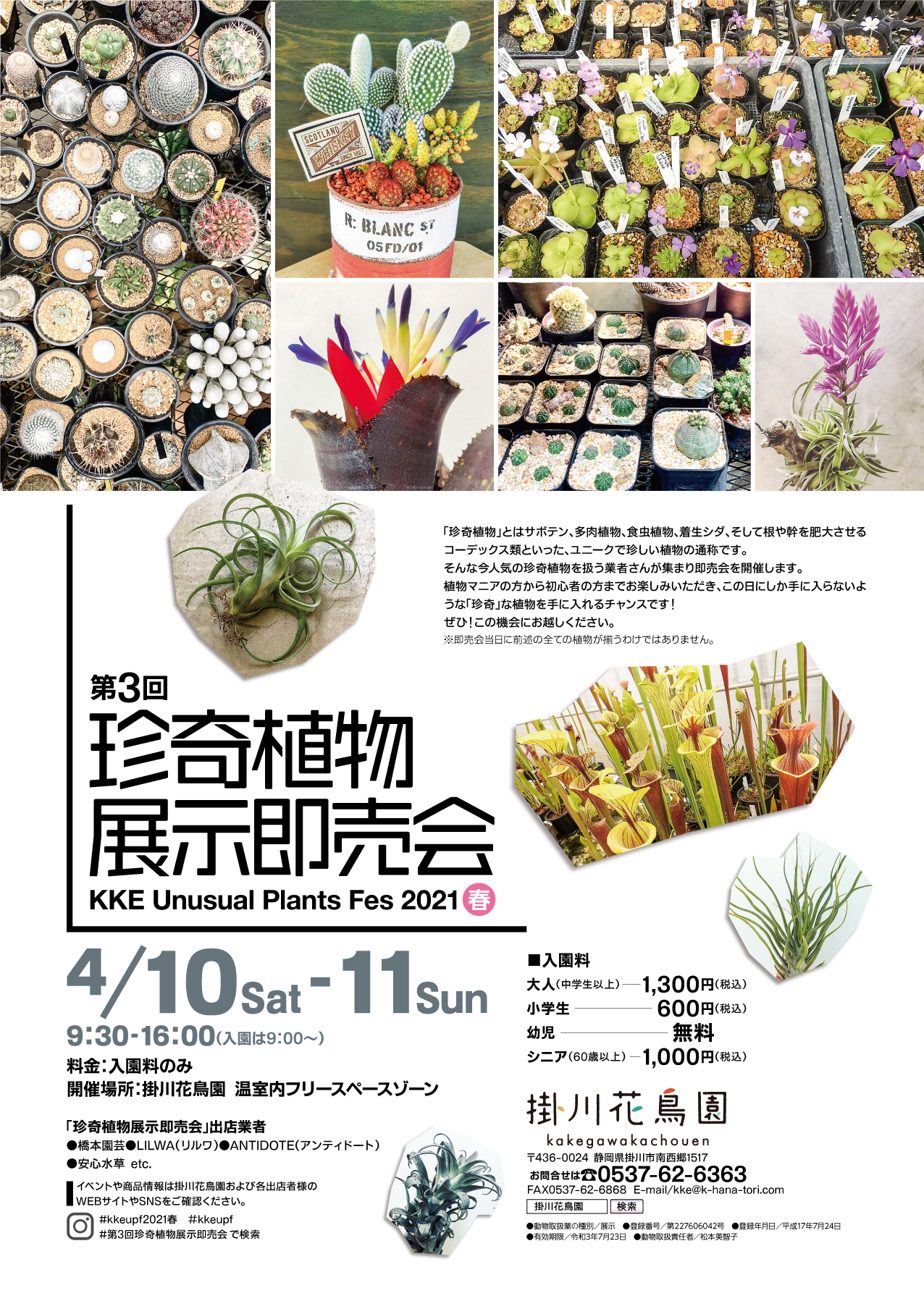 第3回珍奇植物展示即売会 開催のお知らせ 掛川花鳥園 花と鳥とのふれあいが楽しめるテーマパーク