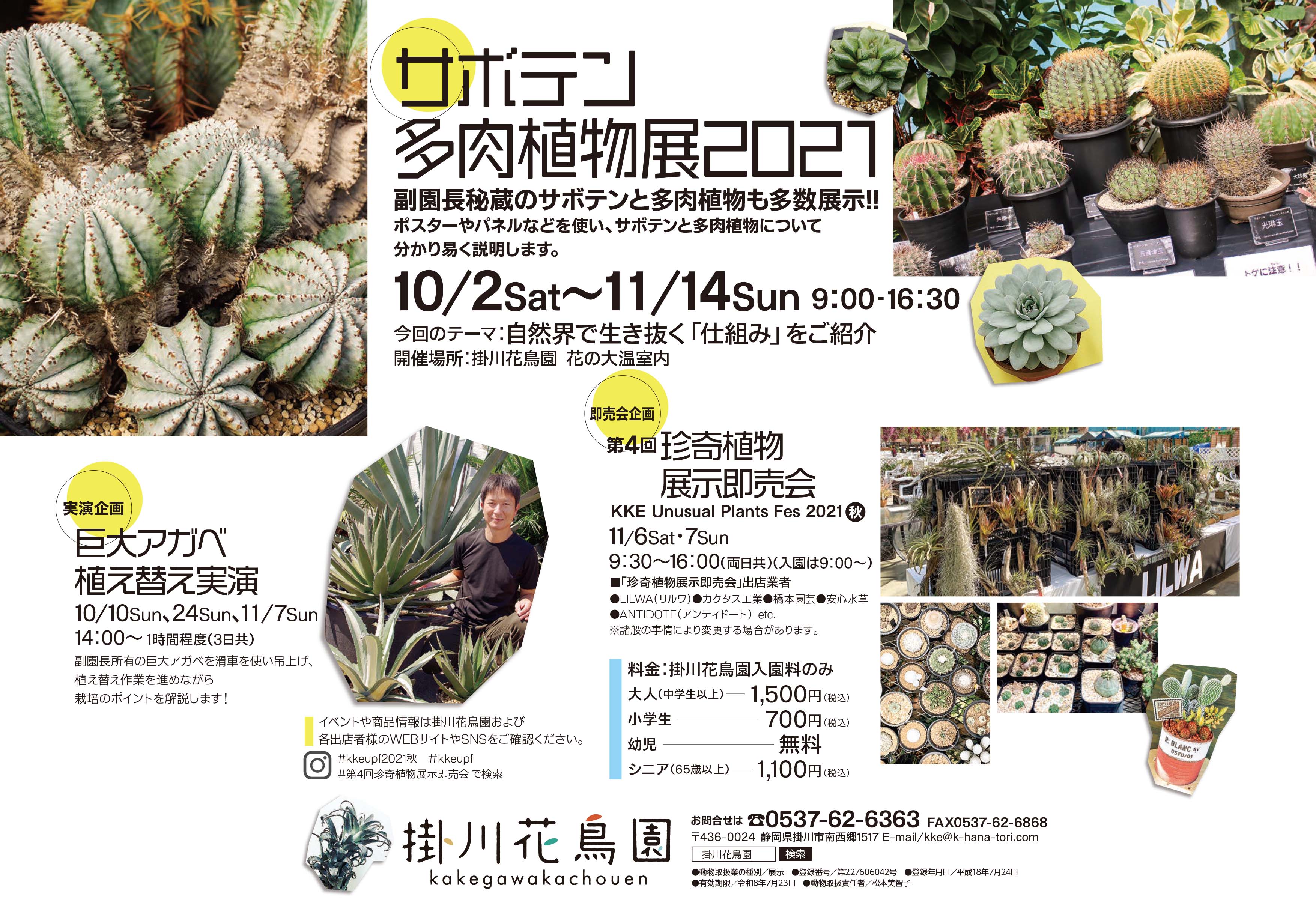 特別展示 サボテン 多肉植物展21 開催のお知らせ 掛川花鳥園 花と鳥とのふれあいが楽しめるテーマパーク