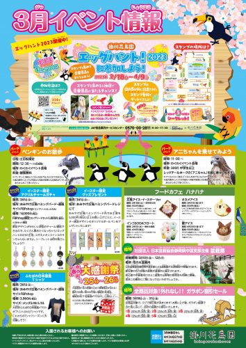 掛川花鳥園POP